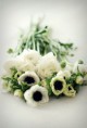 /album/fotogkaleri-ypiresies/a94d2bfee2f026d9667234f30b257e97d-jpg/