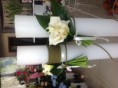 /album/fotogkaleri-ypiresies/a20140502-144314479-ios-jpg/